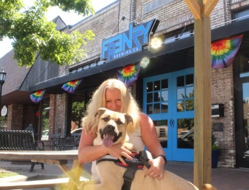 Who Let the Dogs Out? Hank’s Hangout at Frenzy Brewing Company