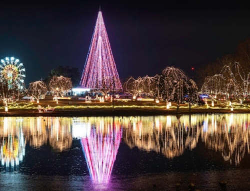 The Best Places in Oklahoma to See the Christmas Lights in 2022